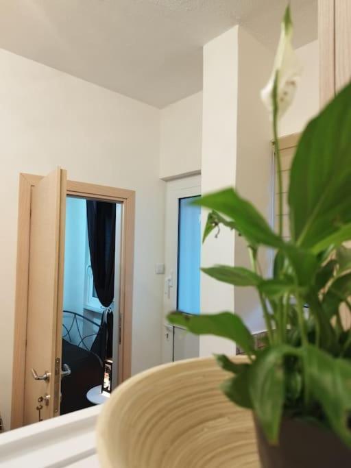 Esteticaapartments Rhodes City المظهر الخارجي الصورة